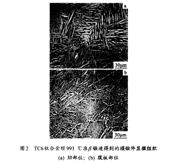 TC6钛合金经993℃准β锻造得到的模锻件显微组织(a) 肋部位；(b) 腹板部位