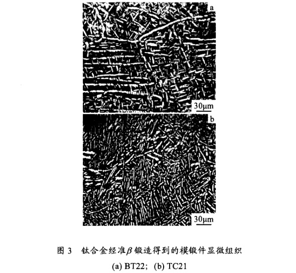 钛合金准β锻造得到的模锻件显微组织