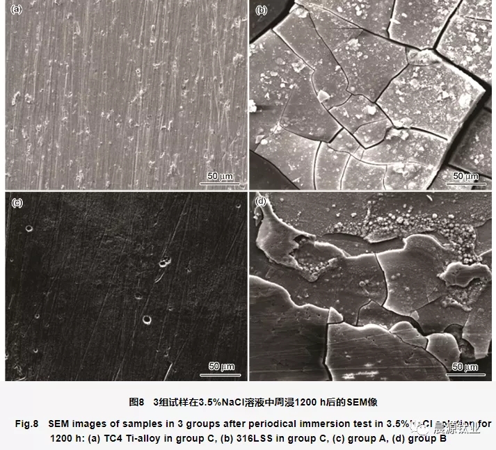 周浸腐蚀实验后不同组试样表面形貌的SEM像
