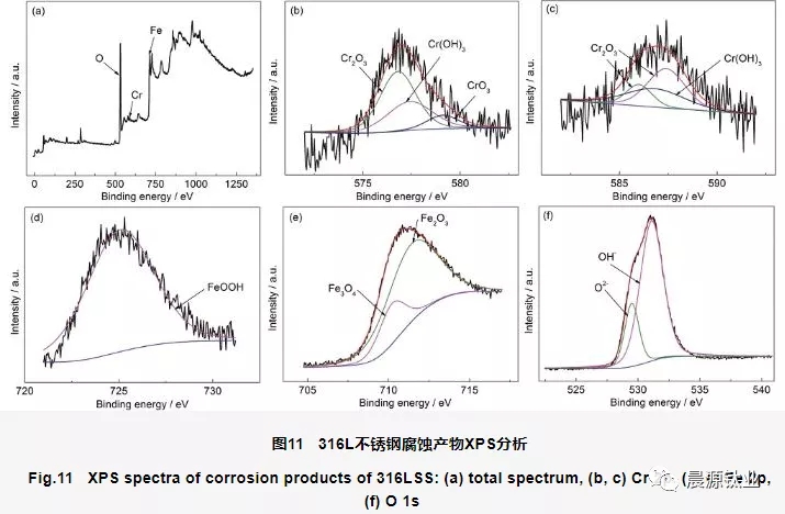 316L不锈钢表面腐蚀产物的XPS图谱
