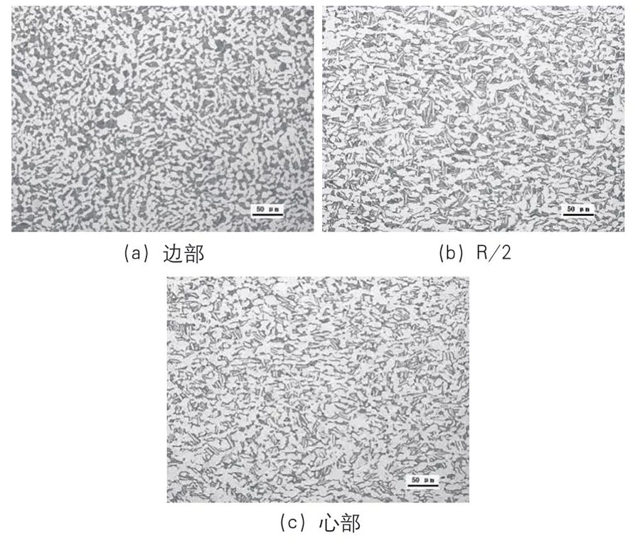 工艺B锻制的TA22棒材高倍组织