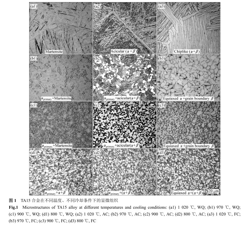 TA15合金在不同温度、不同冷却条件下的显微组织