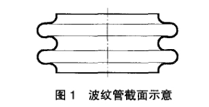 波纹管截面示意