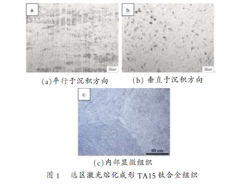 选区激光熔化成形TA15钛合金组织