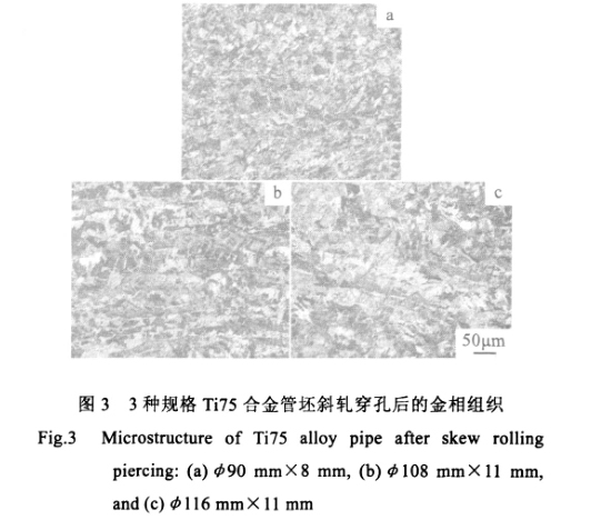 3种规格Ti75合金管坯斜轧穿孔后的金相组织