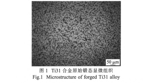 Ti31合金原始锻态显微组织