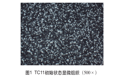 TC11初始状态显微组织（500×）