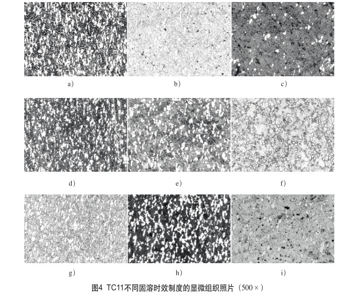 TC11不同固溶时效制度的显微组织照片（500×）