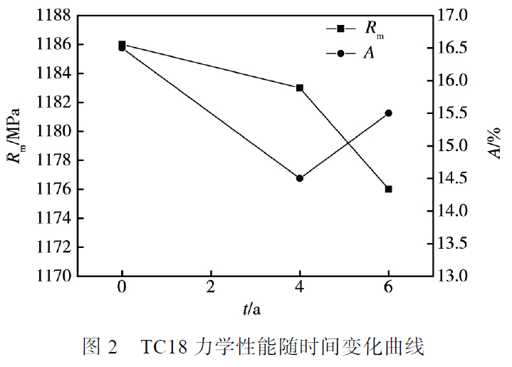 t2.jpg