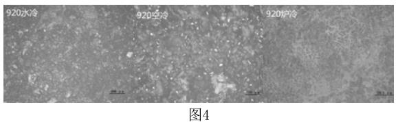 1688899937799168.jpg 360截图16230315204326.jpg