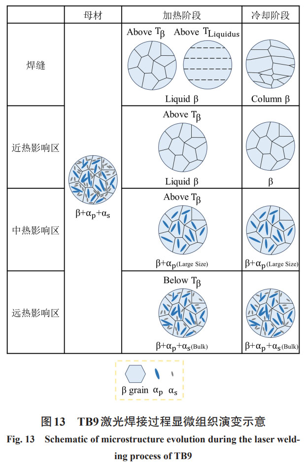 未标题-2.jpg