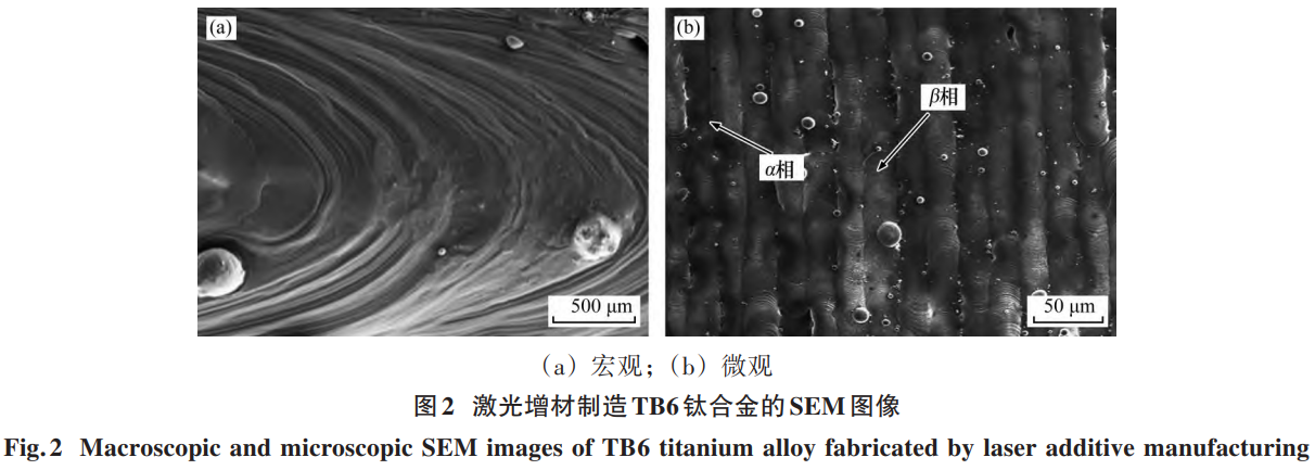 1757642374792101.png 截图20250912095835.png