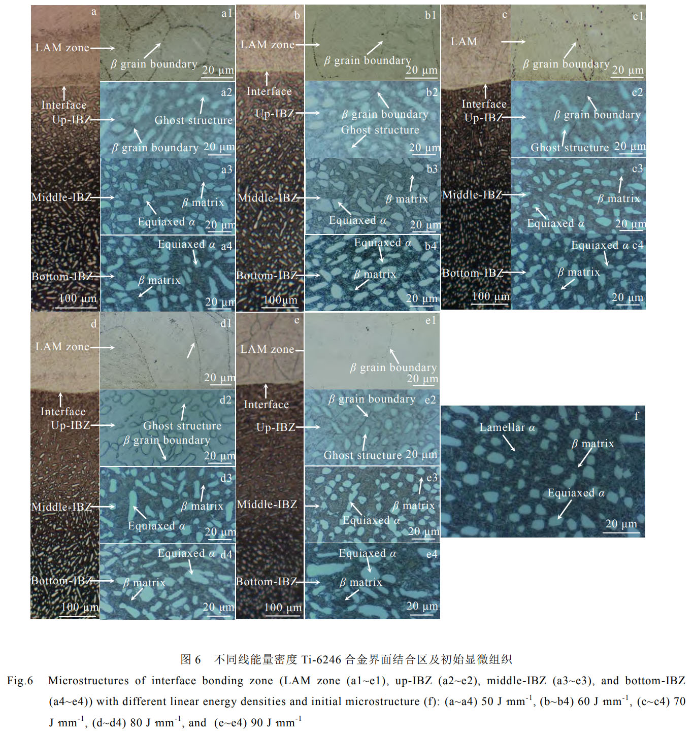 1759115755383761.jpg 未标题-1.jpg