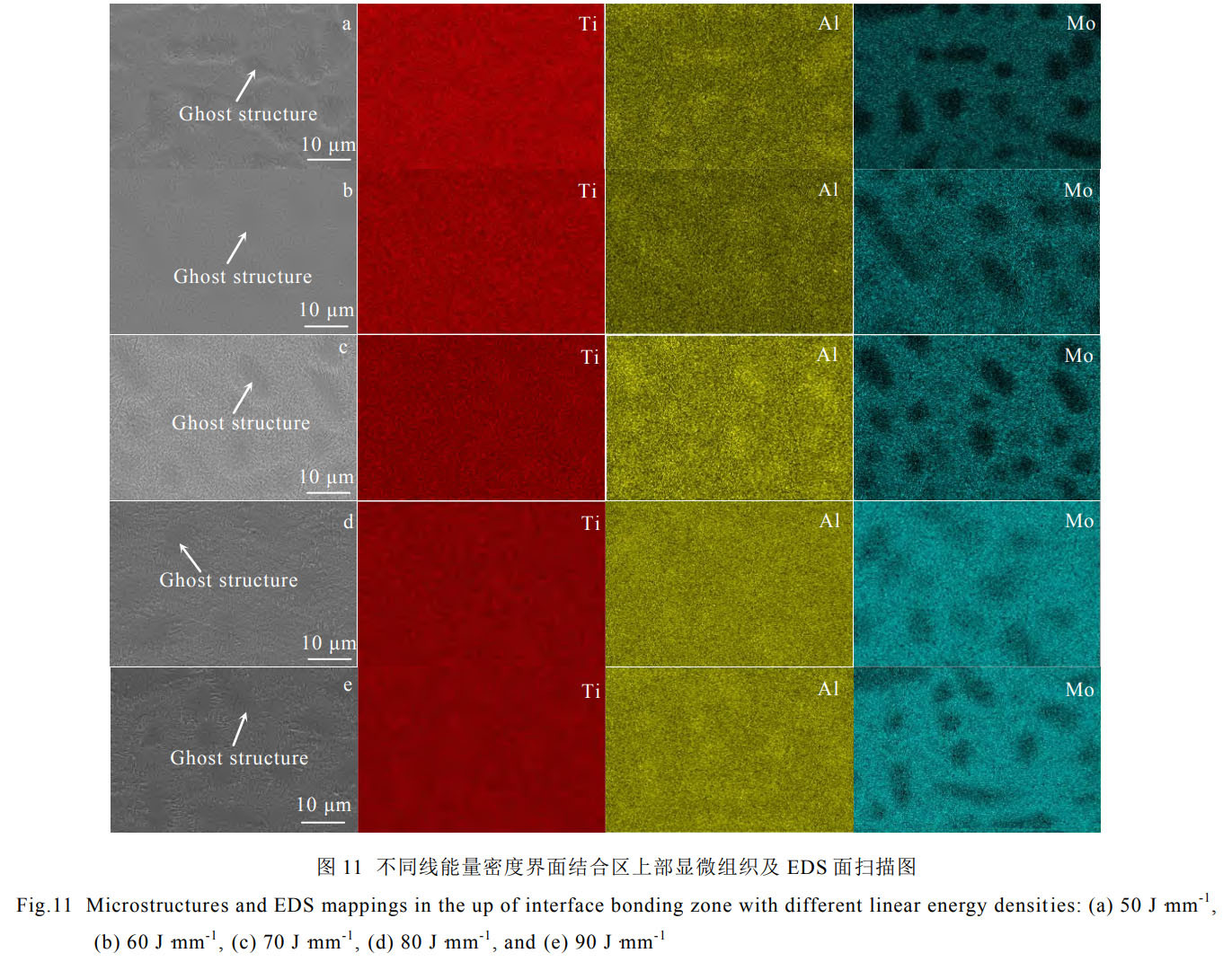 1759115935881636.jpg 未标题-3.jpg