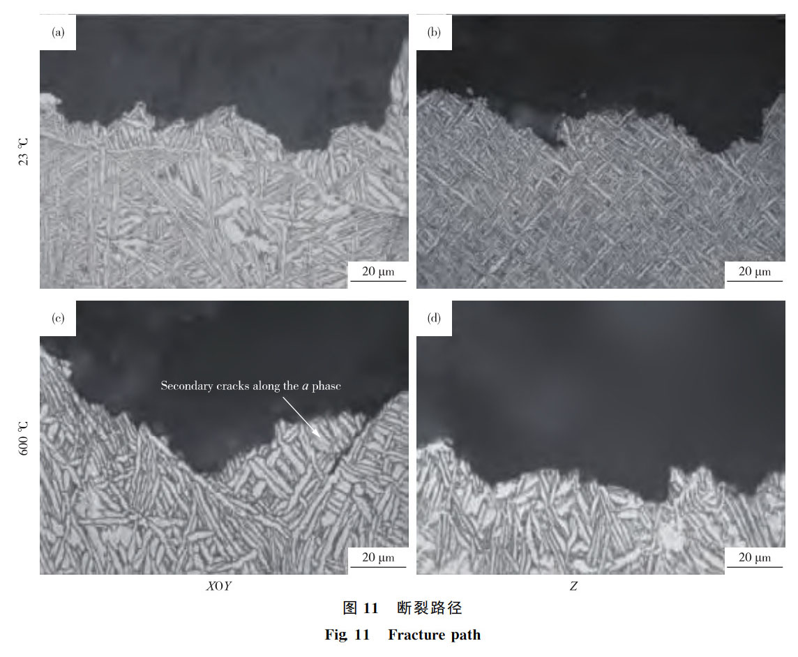 1762347924706637.jpg 激光沉积Ti65钛合金拉伸性能_周松_10.jpg