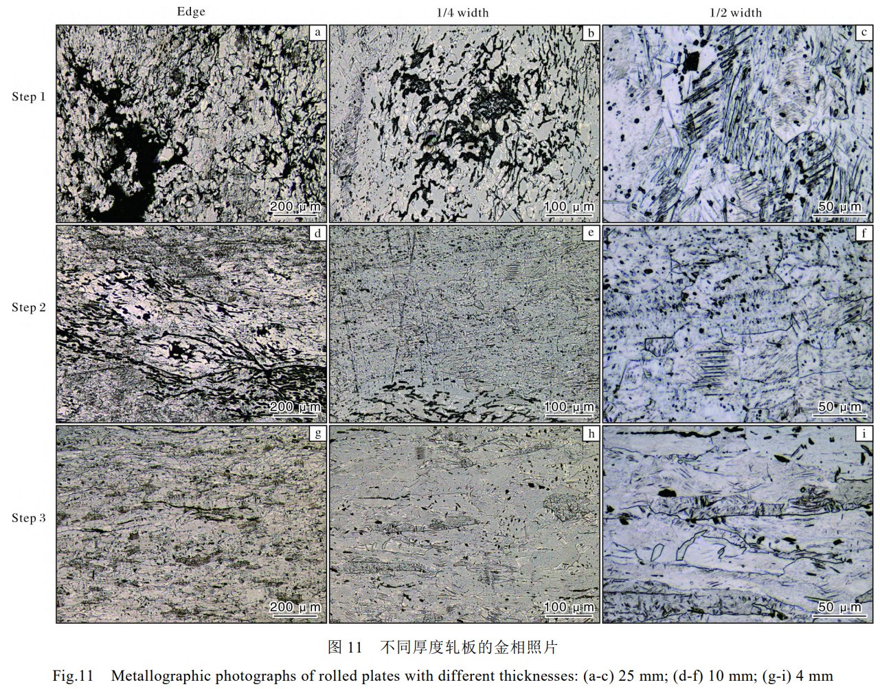 1764035291777471.jpg 未标题-1.jpg