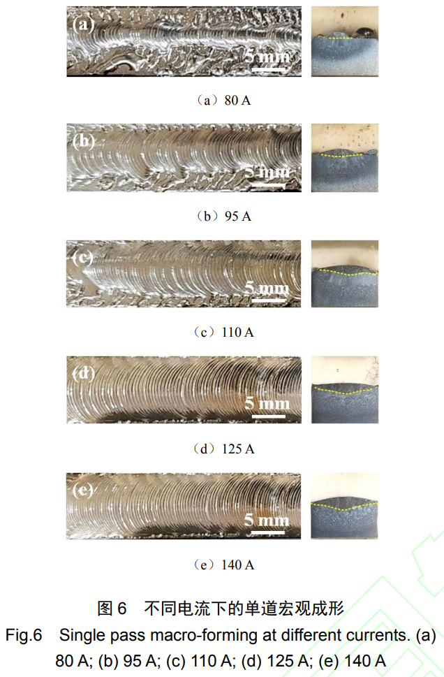 1764040993100158.jpg 6.jpg