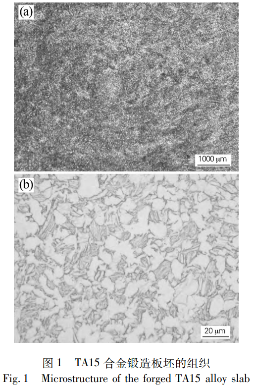 1765165030636824.png 截图20251208113313.png