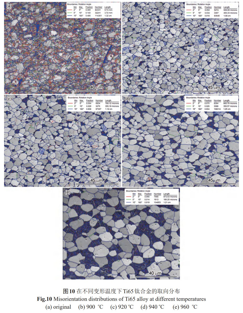 1765683530315222.jpg 10.jpg