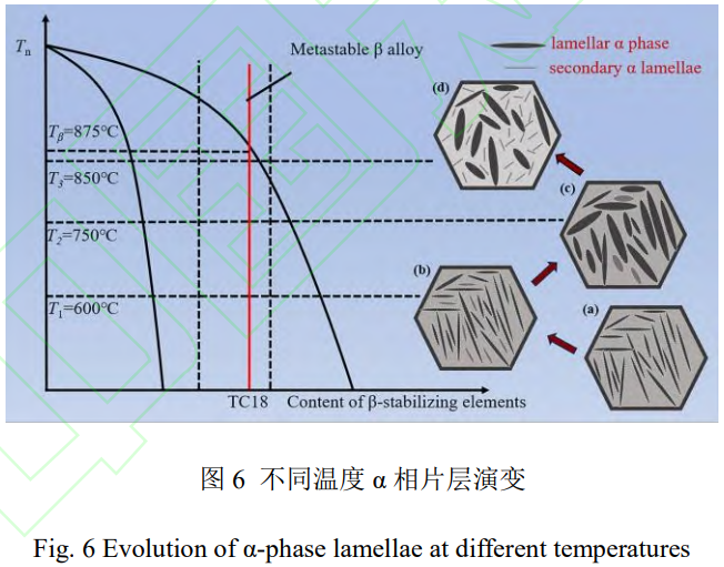 1765855631705083.png 截图20251216110830.png