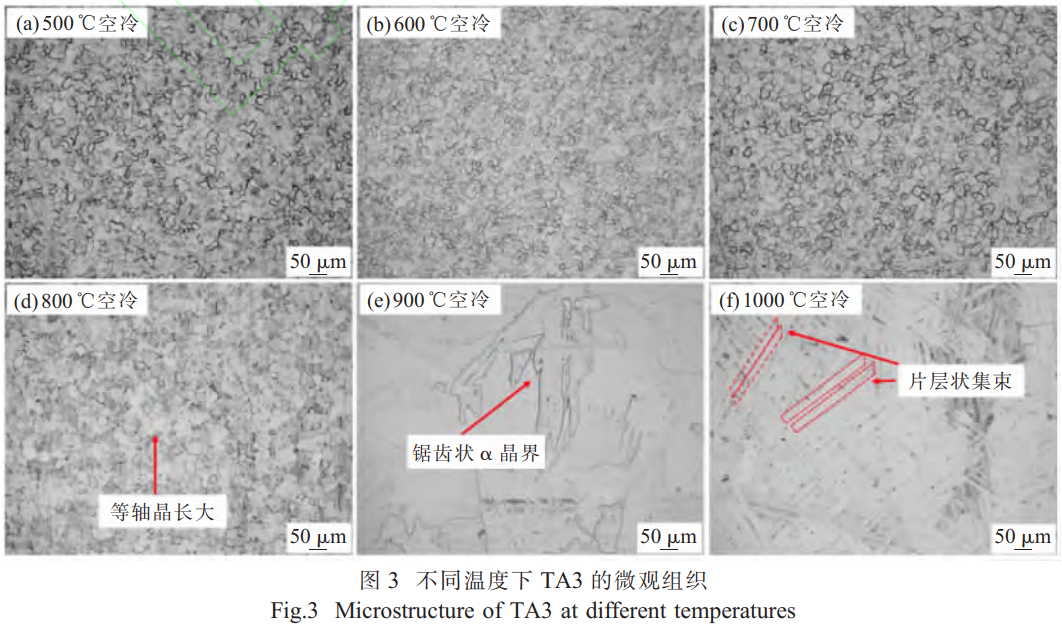 1765877819805100.png 截图20251216173445.png