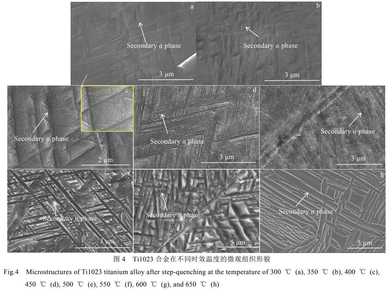 1768822531497589.jpg 4.jpg