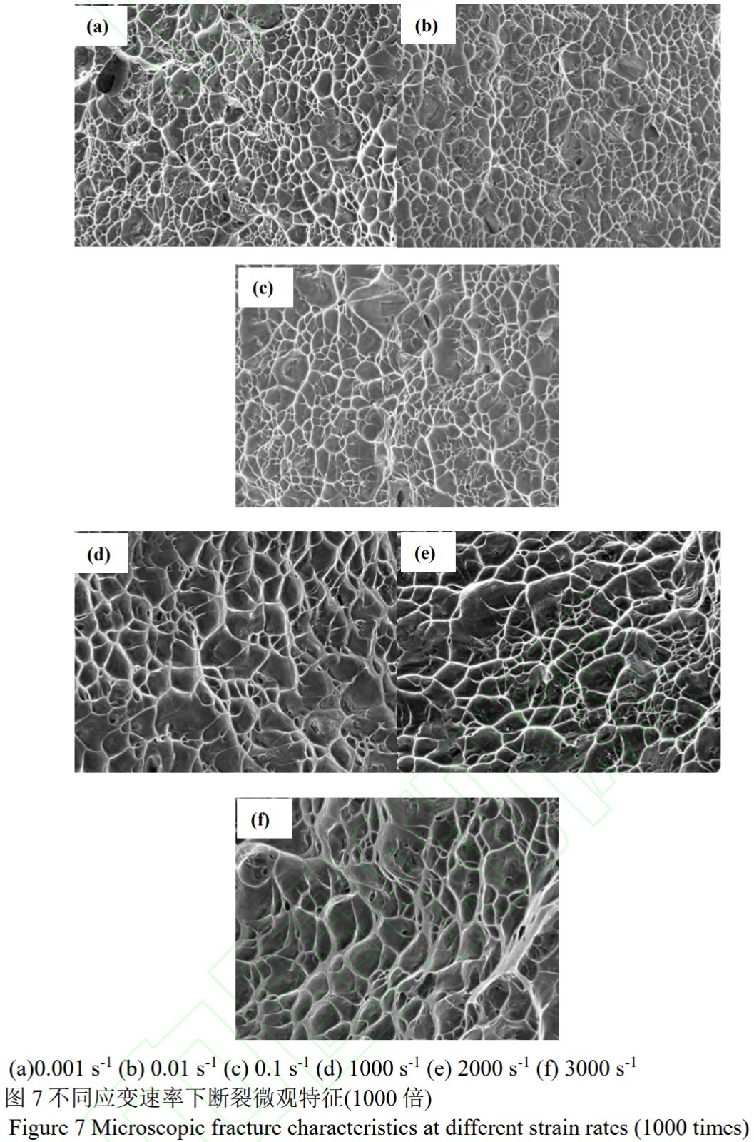 1775565789484256.jpg 7.jpg