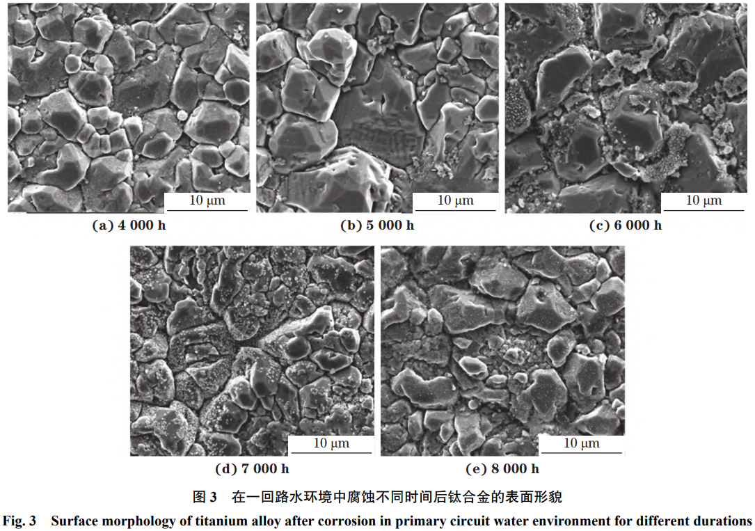 1775615030368322.png 截图20260408100547.png