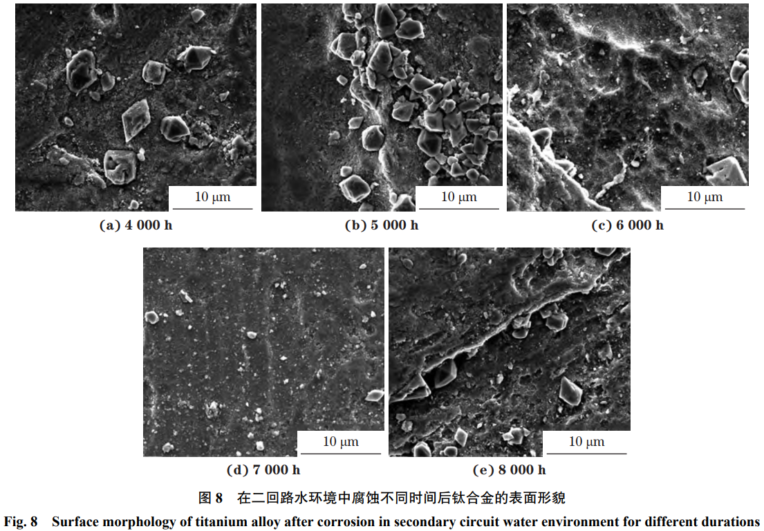 1775615083731106.png 截图20260408100706.png