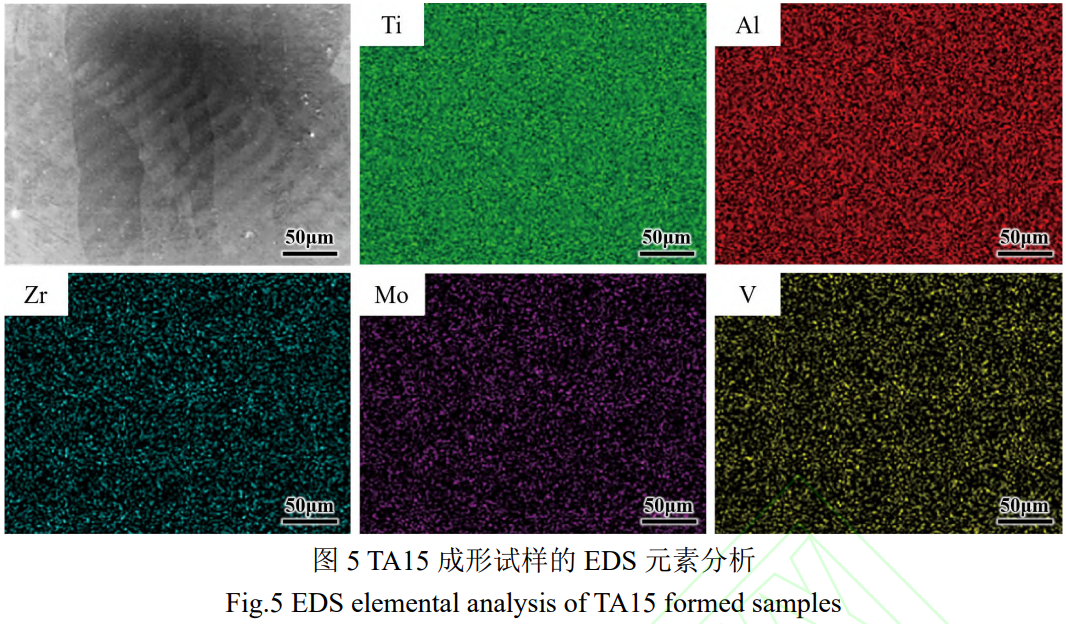 1775619210328589.png 5.png