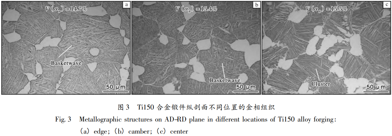 1776045929655995.png 3.png