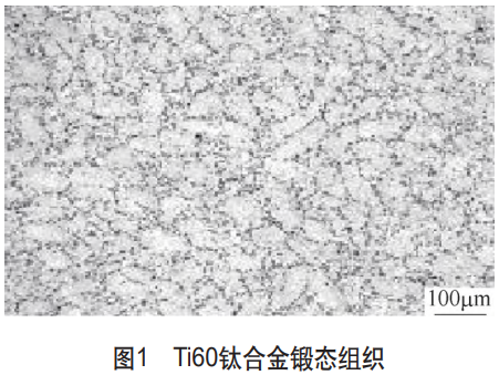 1782091412463165.png 1.png